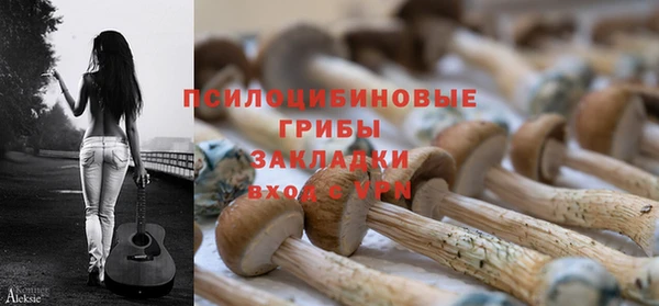 шишки Магадан