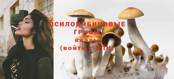 шишки Магадан